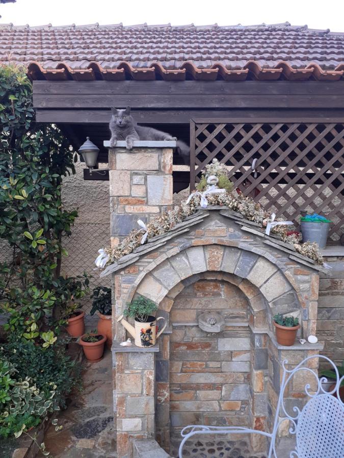 Traditional Maisonette In Pelion Vólos Extérieur photo